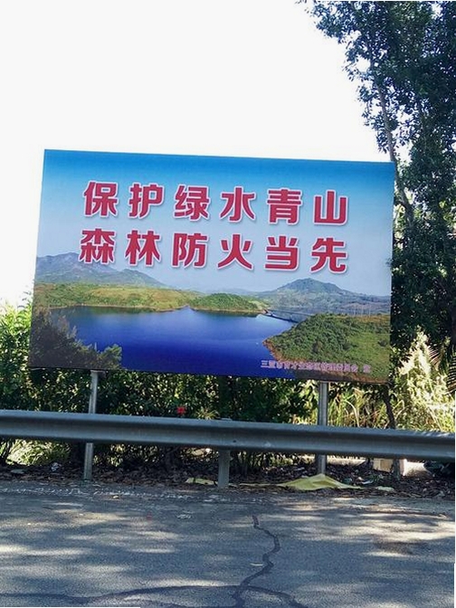 逃亡森林运行截图