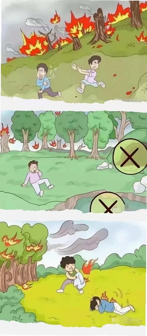 逃亡森林运行截图