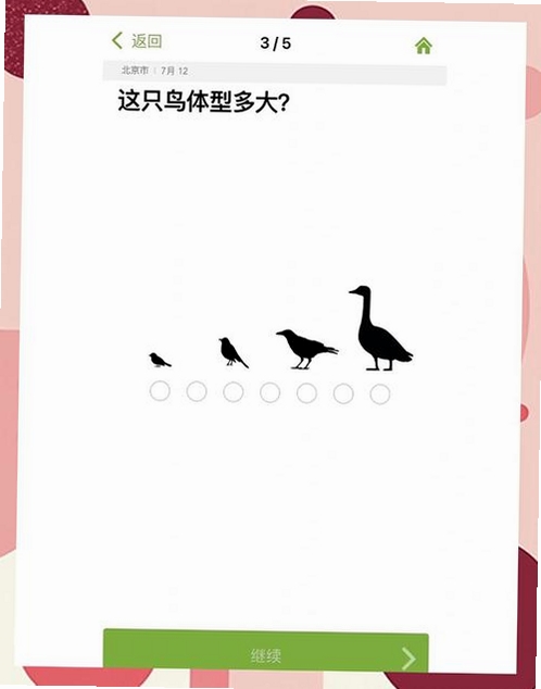 The Birds���н�ͼ