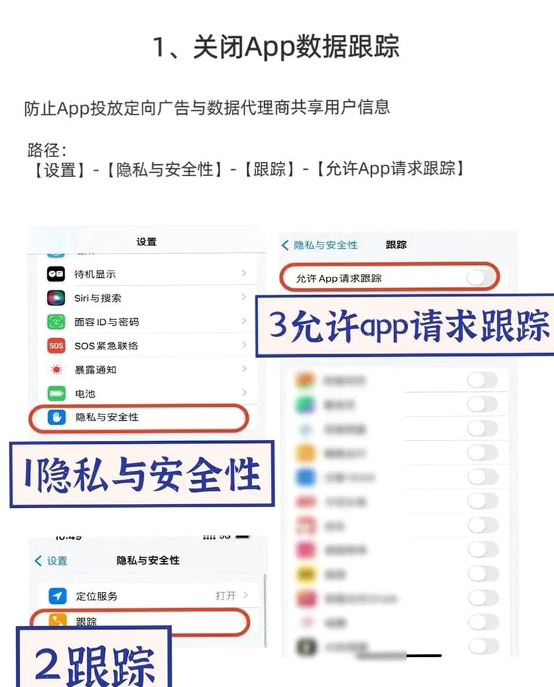 爱略阳隐私安全设置界面截屏