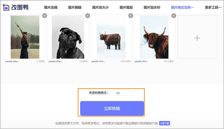 ��ͼ����Image Converter One֧�ֵ�ͼƬ��ʽ�б���ת��ѡ������