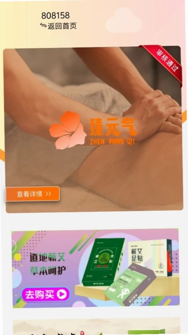 臻元气运行截图