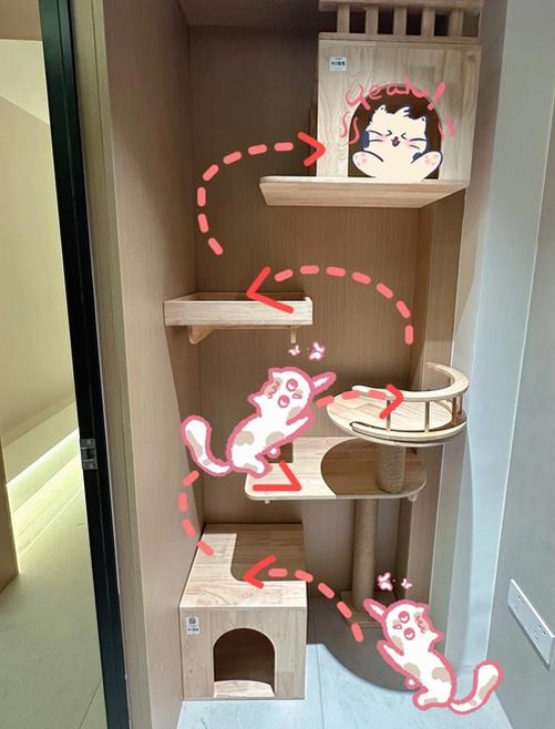 小猫助装安装教程
