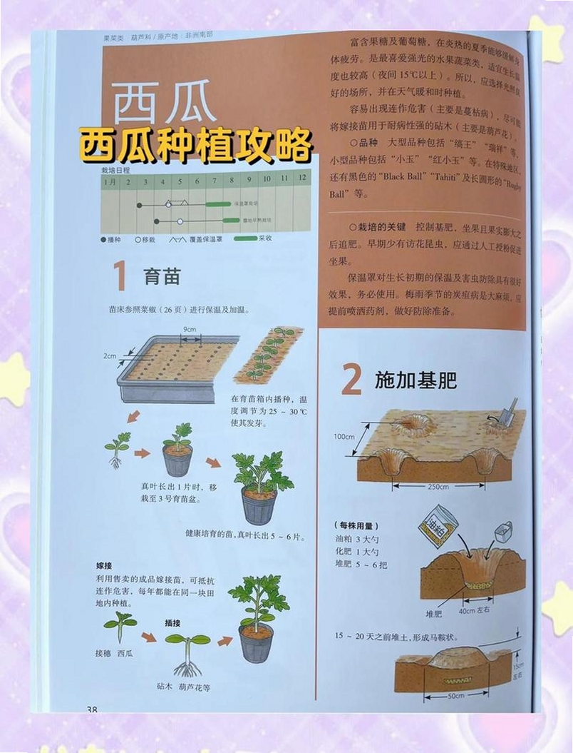 招财的小院 新手攻略 种植技巧