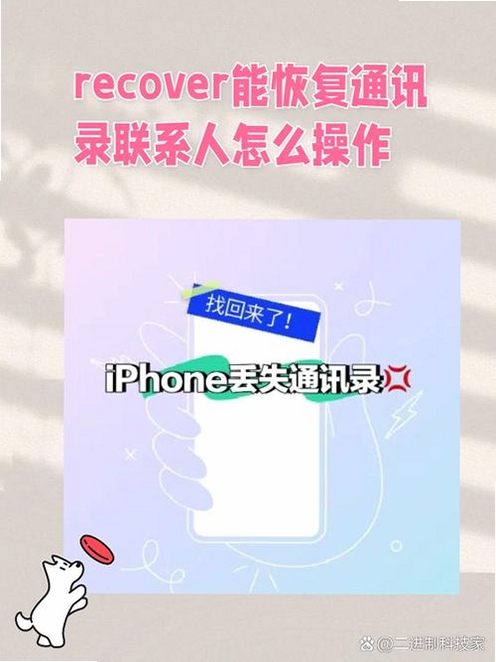 ���뱸�� �ָ���ϵ�� �̳�
