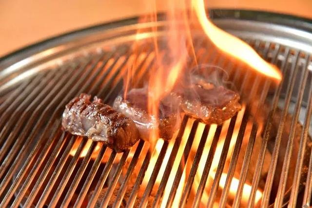 Grill Cooking ̿���¶ȿ��Ƽ���