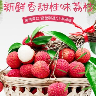 清青果园现摘现发 水果礼盒批发产地直供实拍