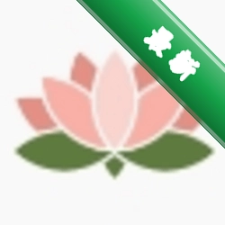 Lotusv1.9.0-community 社区版轻量应用