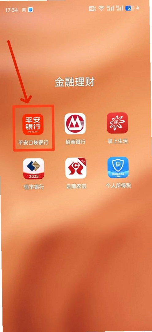 平安口袋管家运行截图