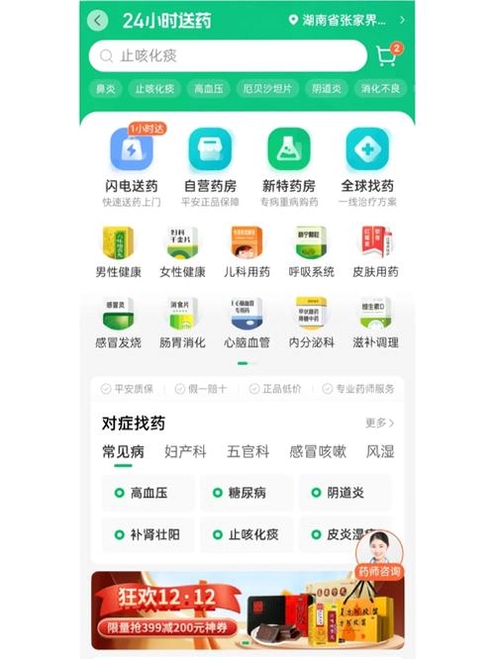平安口袋管家运行截图