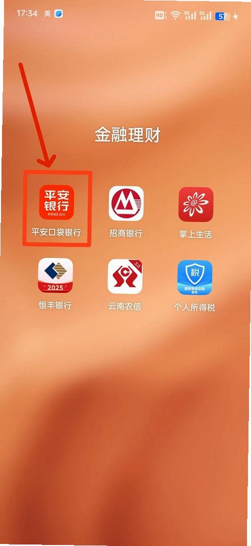 平安口袋管家运行截图