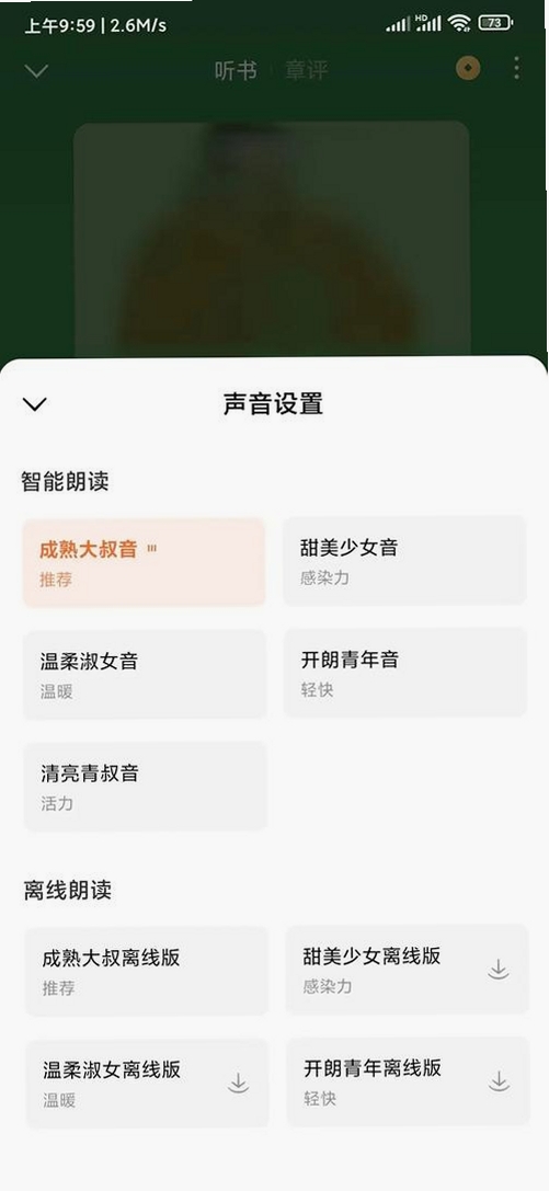 河番畅听小说 播放器界面 使用教程