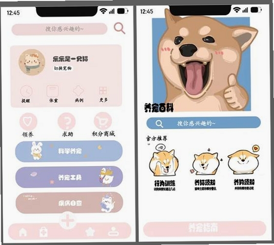 宠TA一生运行截图