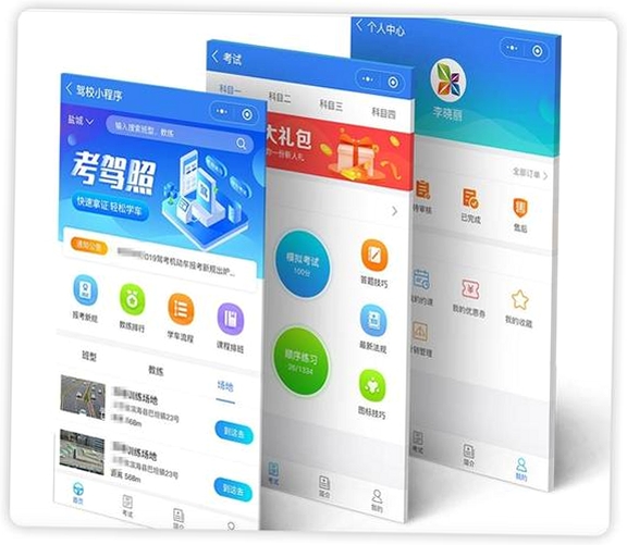 驾考科目一技巧大全运行截图