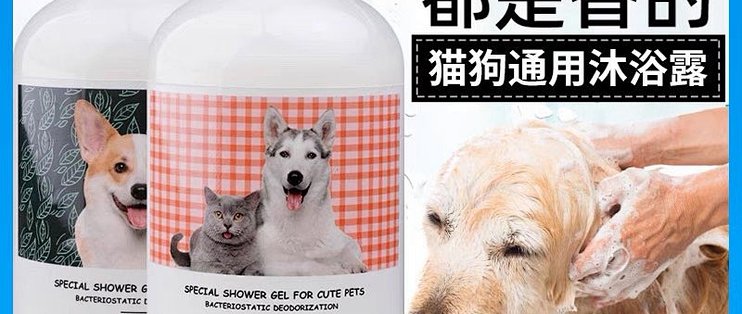 爱犬 洗澡护理 吹干技巧 宠物香波选择
