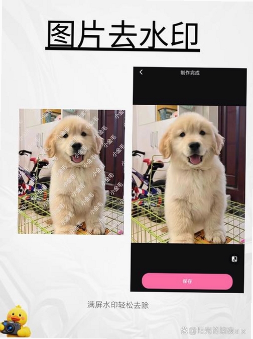 美姿构图相机运行截图