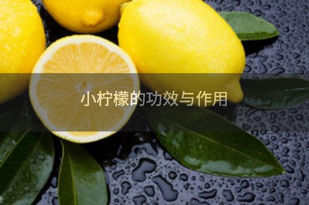 С���� ��Ч ά����C ��ǿ������ ������