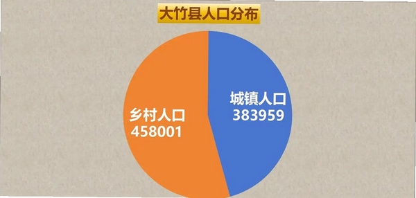 大竹观察运行截图