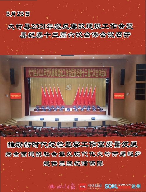 大竹观察运行截图
