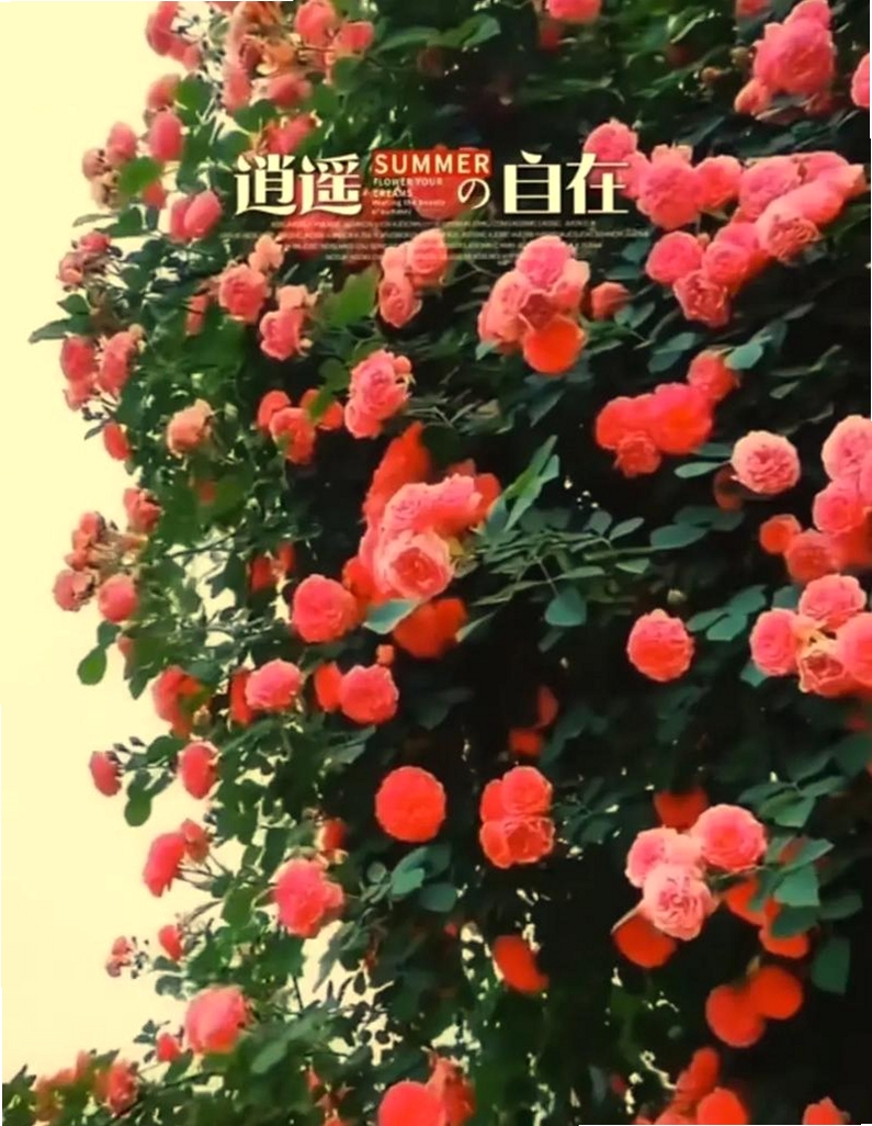 中年遇友运行截图