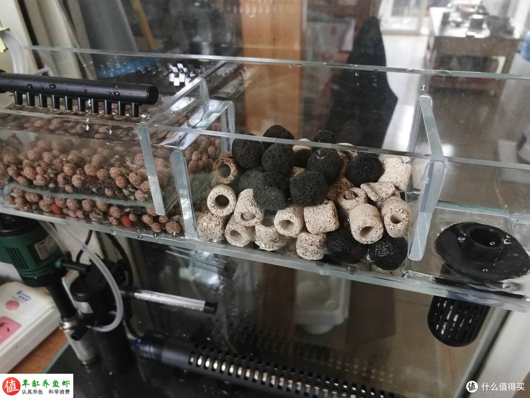 绿水母eggjelly专用水母缸过滤设备套装摆放效果