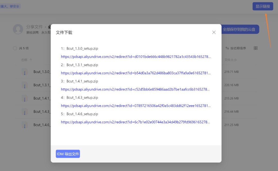 云取网盘解析工具在线解析批量下载实测