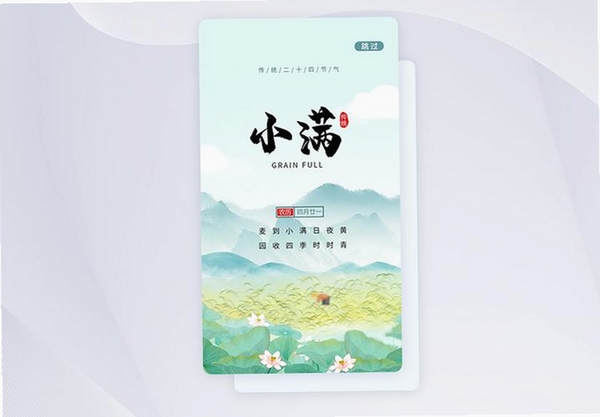 大岐小满运行截图