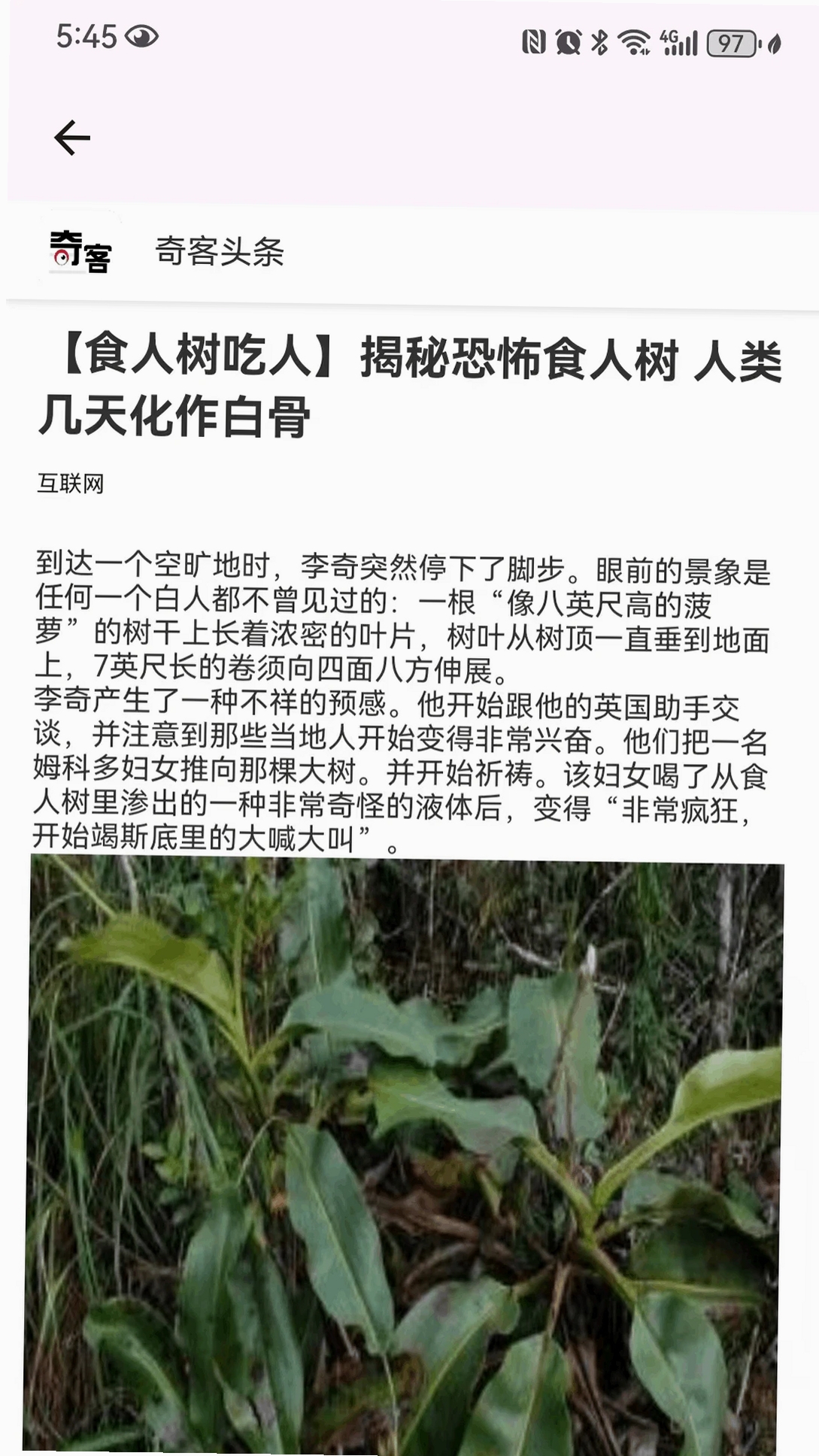 瓦特Watt运行截图