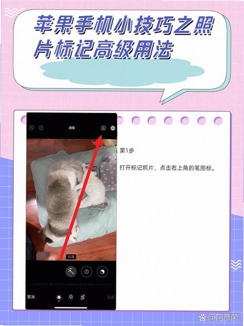 图片标记助手 使用教程 截图标注