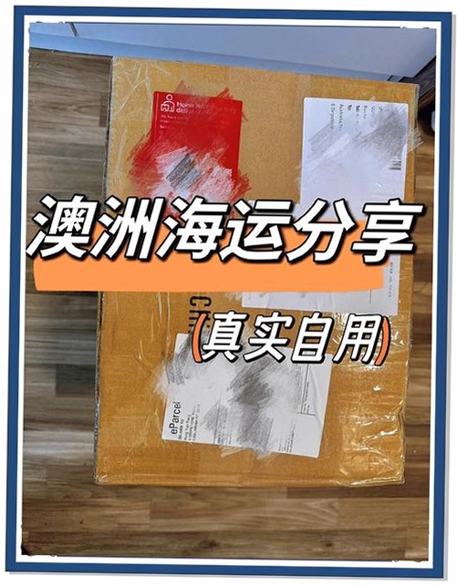 雁巢集运运行截图