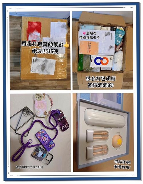 雁巢集运运行截图