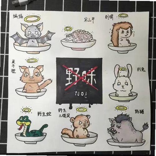 一点妙笔运行截图