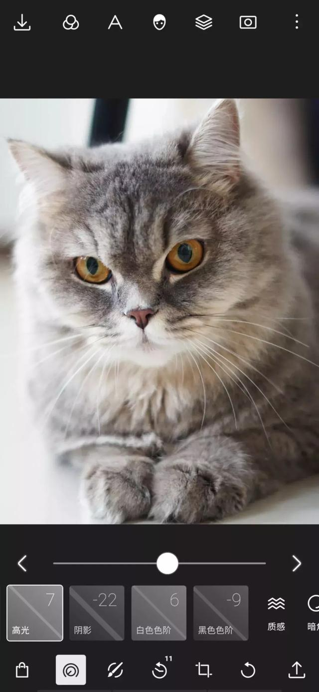 OnlyPet�����罻 �û������ܽ� ��ʺ���Ƽ�