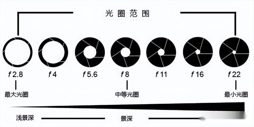 雾野相机 光圈优先模式 实拍样张 参数分享