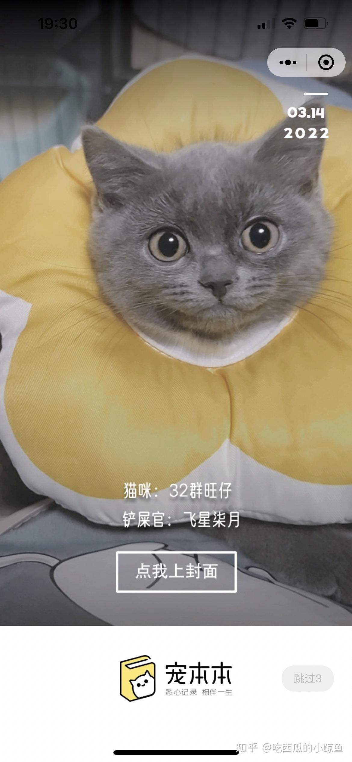 萌宠日常记录本 猫咪成长记录 搞笑日常