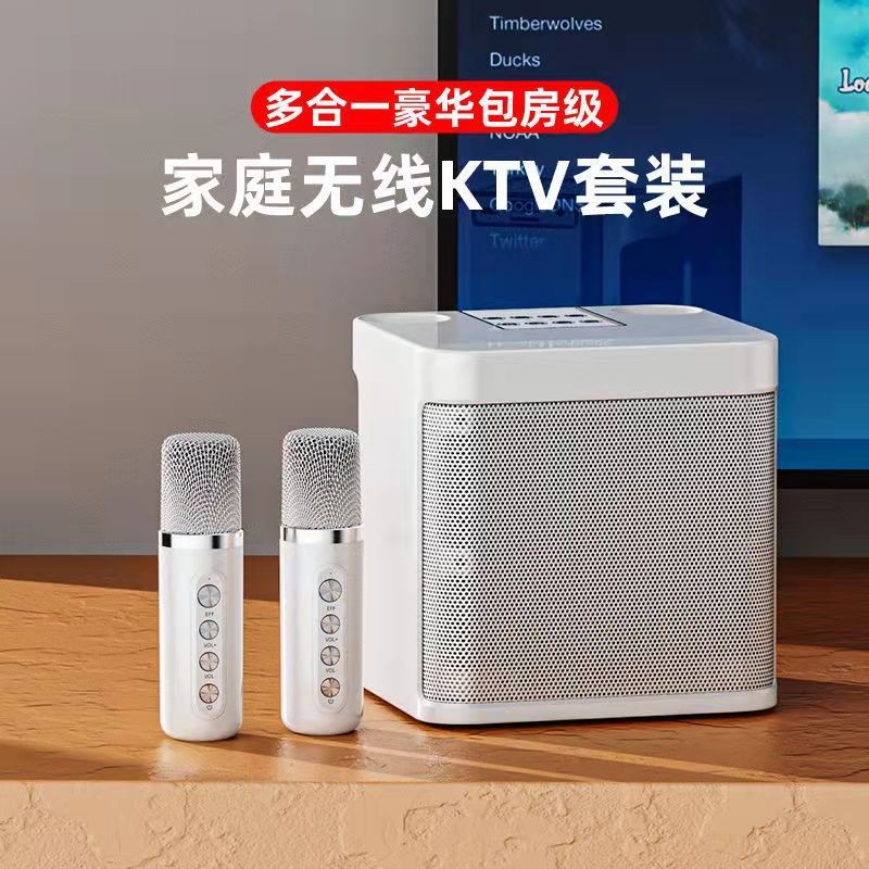FerTo麦克风扩音器 家用K歌音箱一体机 使用场景