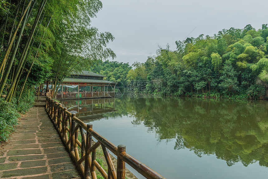 i宜宾蜀南竹海翡翠长廊美景