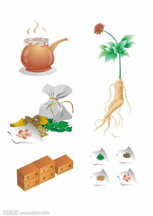吉真中药运行截图