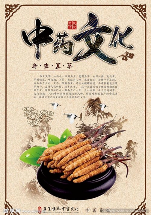 吉真中药运行截图