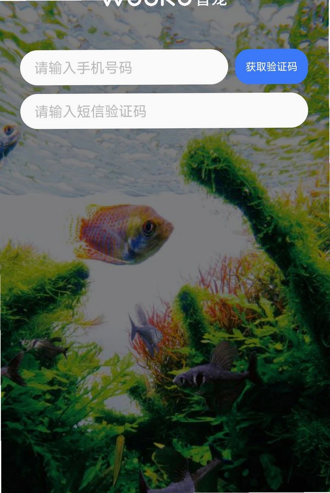 WOOKU智宠运行截图