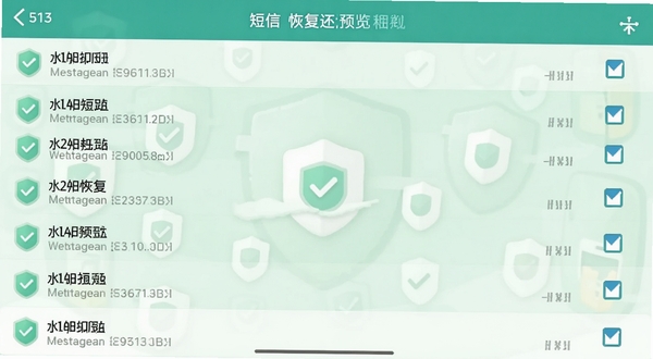 短信恢复还原的预览界面,短信列表逐条展示,勾选框清晰可见,背景为淡绿色数据安全图标,风格清爽,突出选择性恢复的便捷性