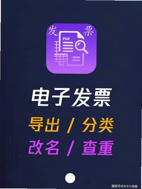 发票电子助手运行截图