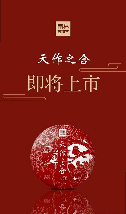 金玉合不停运行截图