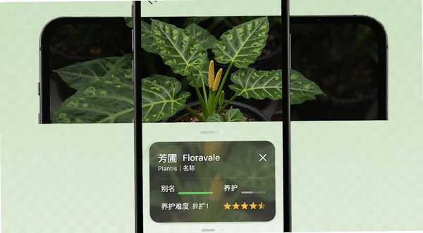 չʾ����Floravaleֲ��ʶ���ܵ�ʹ�ý��棬�ֻ���Ļ����Ϊ���������֣��ϰ벿����һ�������������ǿ�ֲ����Ƭ���°벿����ʾʶ������Ƭ������ֲ��ѧ���������������Ѷ��Ǽ�������Ϊ����ǳ��ɫ����ͻ��ʶ��׼����Ϣ�ḻ���ص㣬������дʵ�ҿƼ����ʶ�