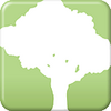 SpeedTree Modeler 10.2.0���Ľ�����ͼ��