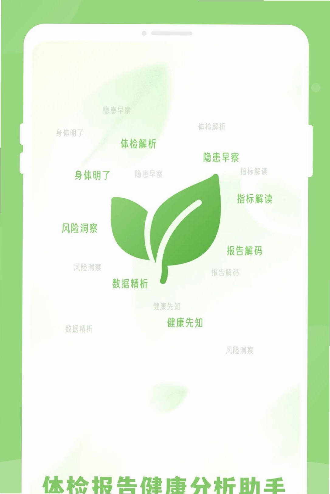 体检报告健康分析助手运行截图