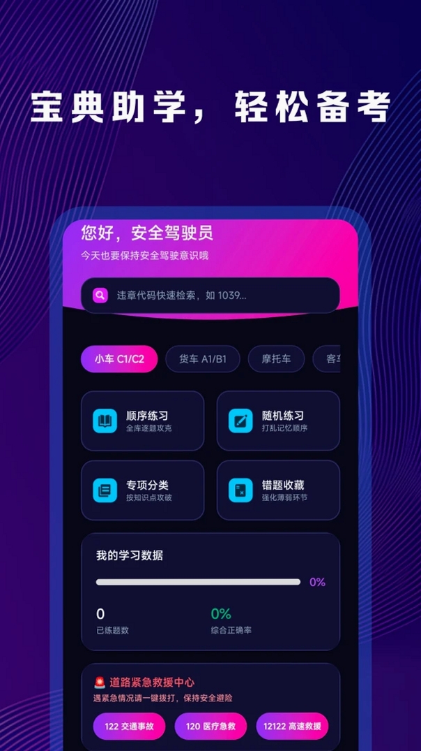 违章处罚代码速查运行截图