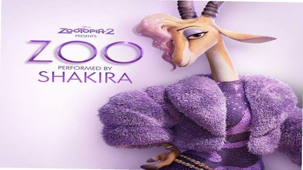zoo ����ٿ� ��װ�̳�