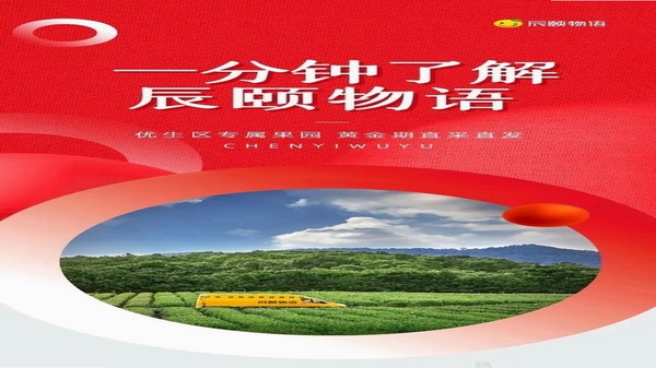 辰颐物语 使用技巧 教程