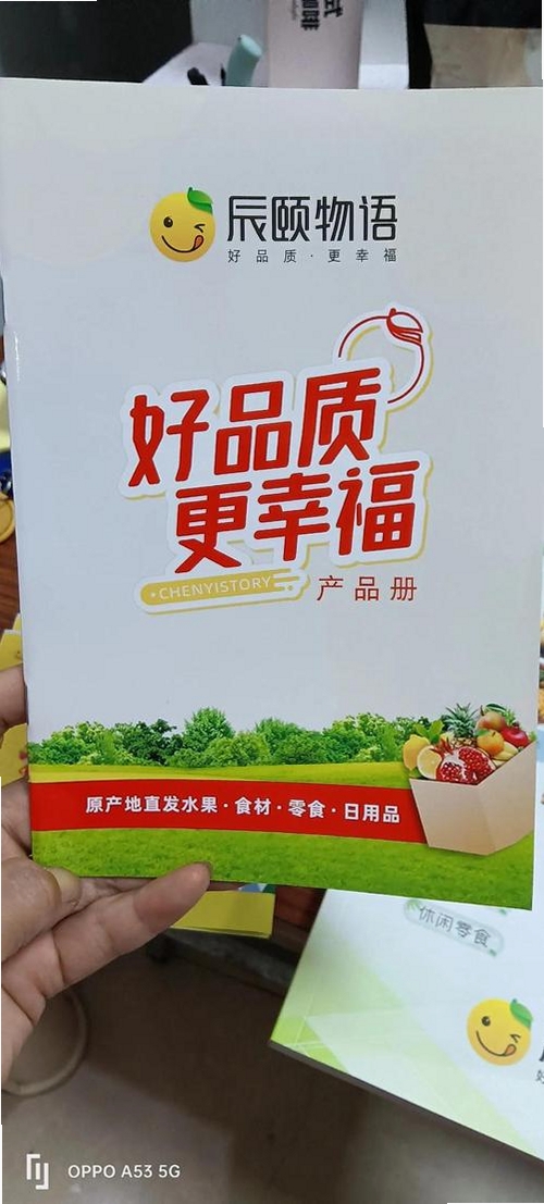 辰颐物语运行截图